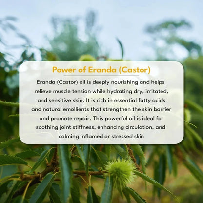 Eranda Massage Oil | Ayurvedic Body Massage Oil with Castor Oil