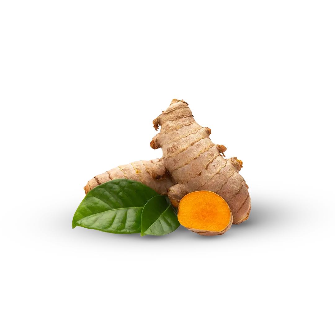 Vanan Turmeric Lepam - 15g | Ayurvedic Turmeric Face Cream for Radiant-Looking Skin